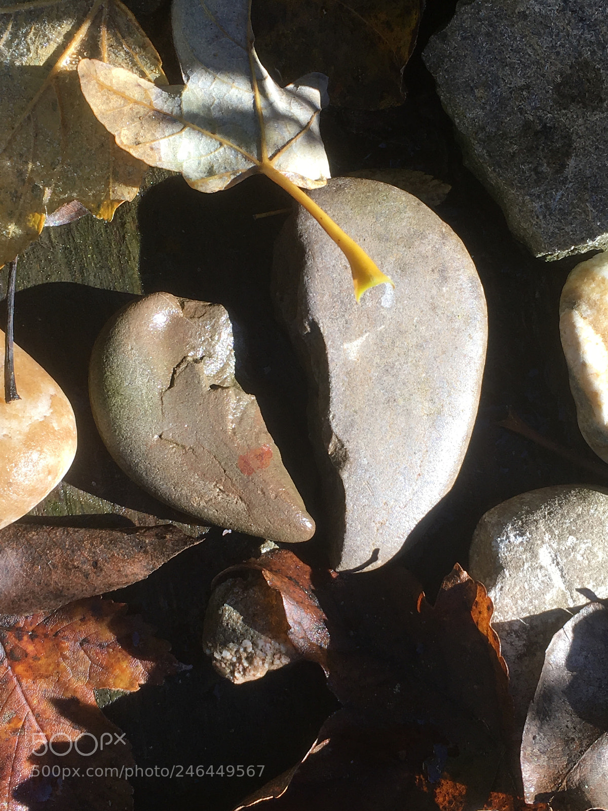Apple iPhone SE sample photo. Auf der suche nach photography