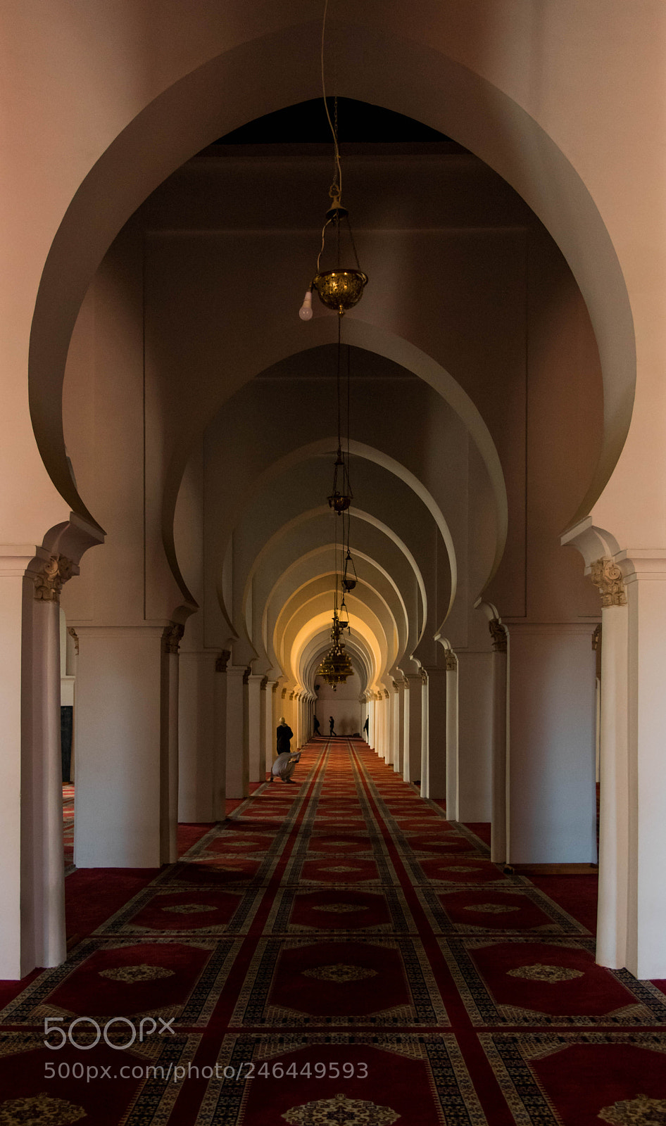 Nikon D750 sample photo. Koutoubia mosque interior photography