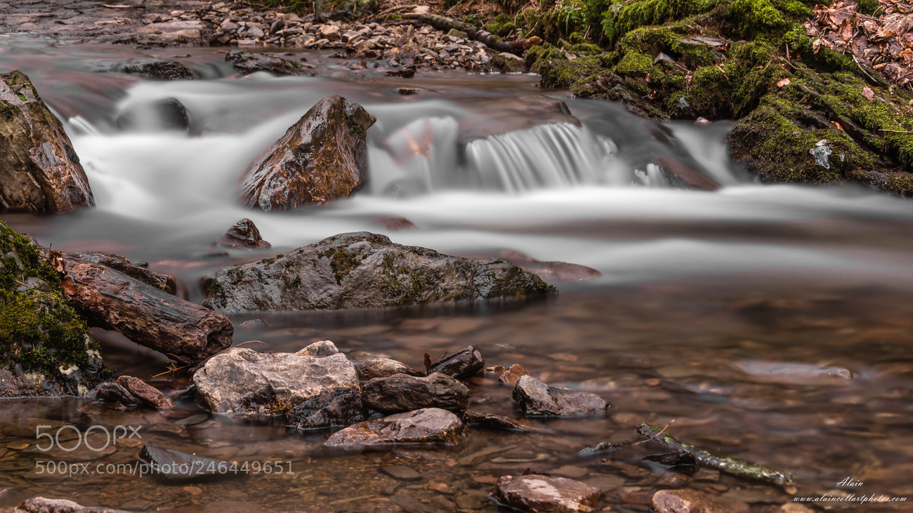 Nikon D7200 sample photo. Rivière douce hd photography