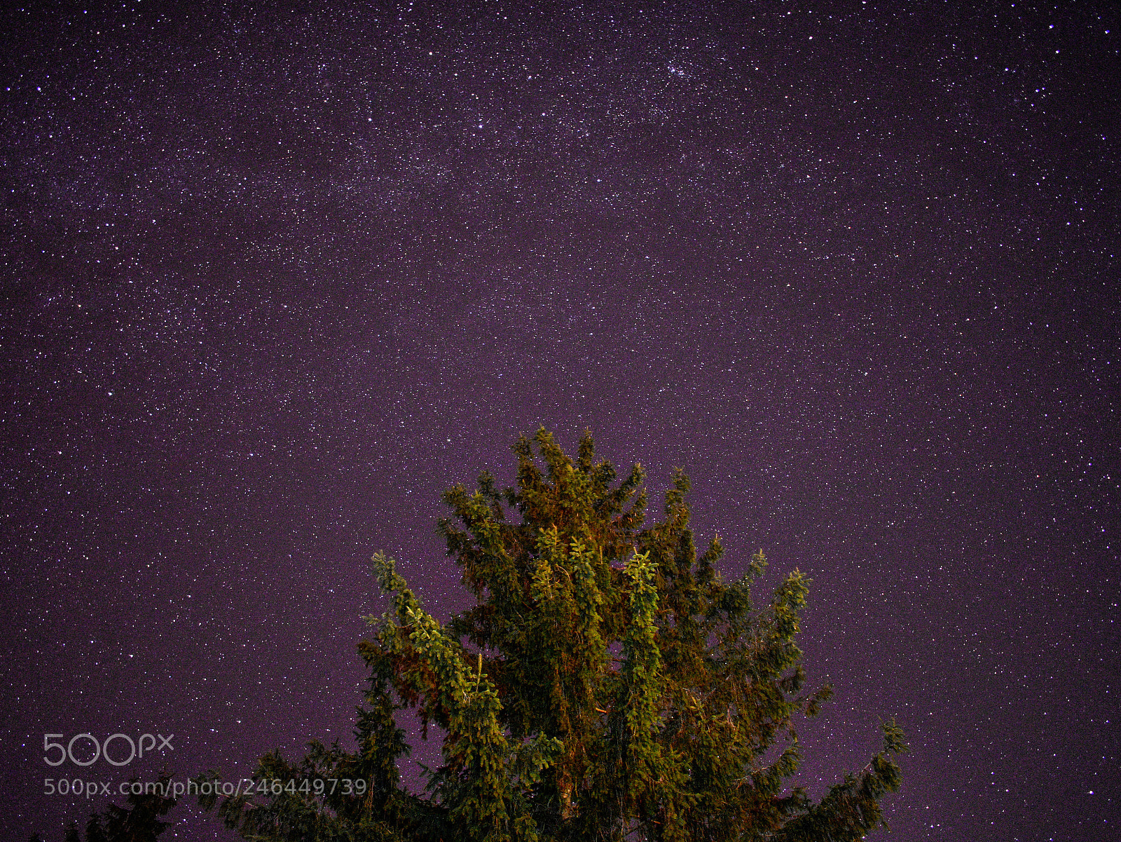 Nikon D3400 sample photo. Under the stars.. photography