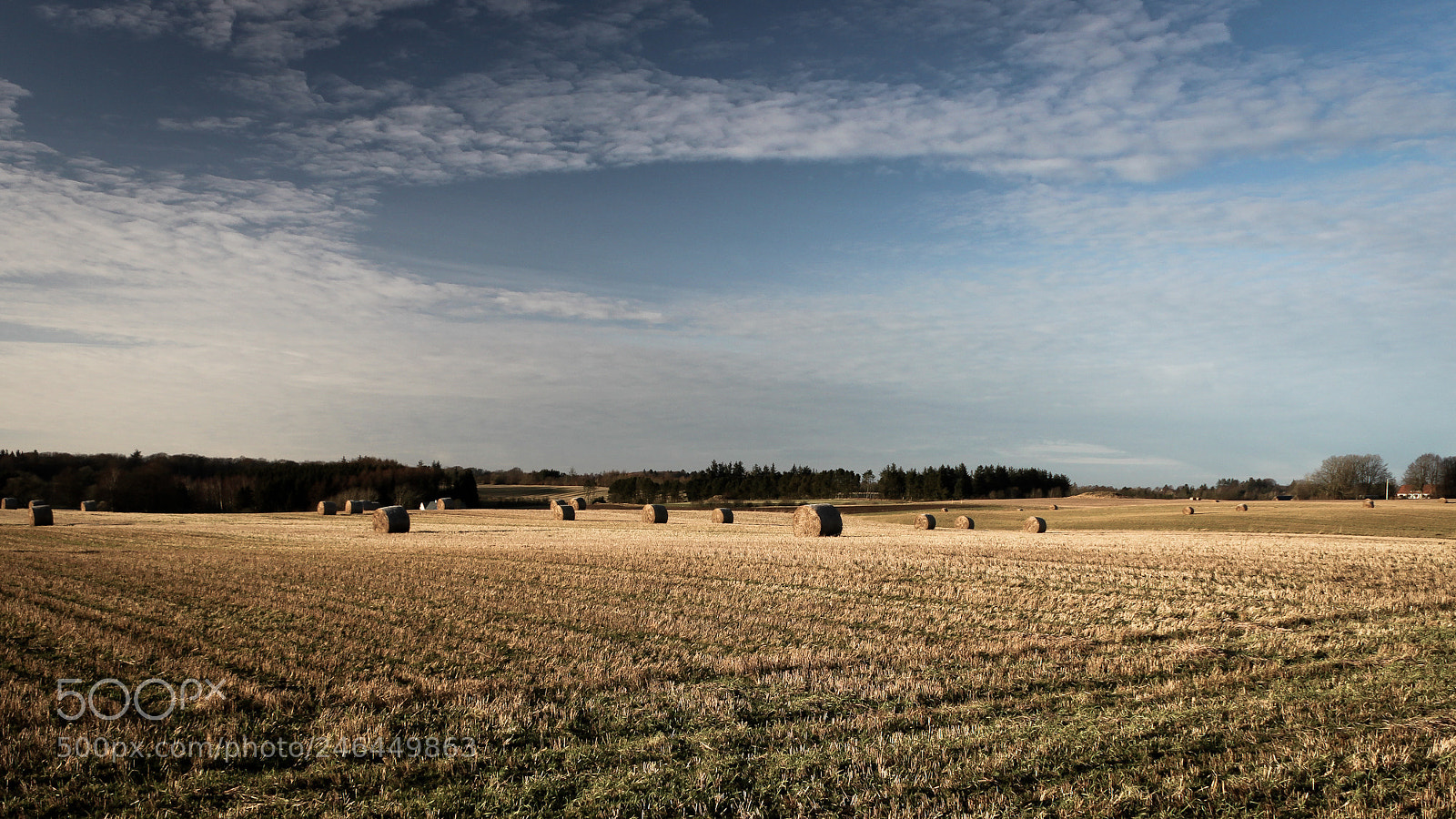 Canon EOS 500D (EOS Rebel T1i / EOS Kiss X3) sample photo. Mowed field in rold photography
