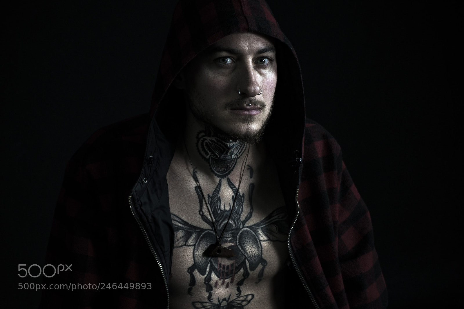 Nikon D800 sample photo. Untitled photography
