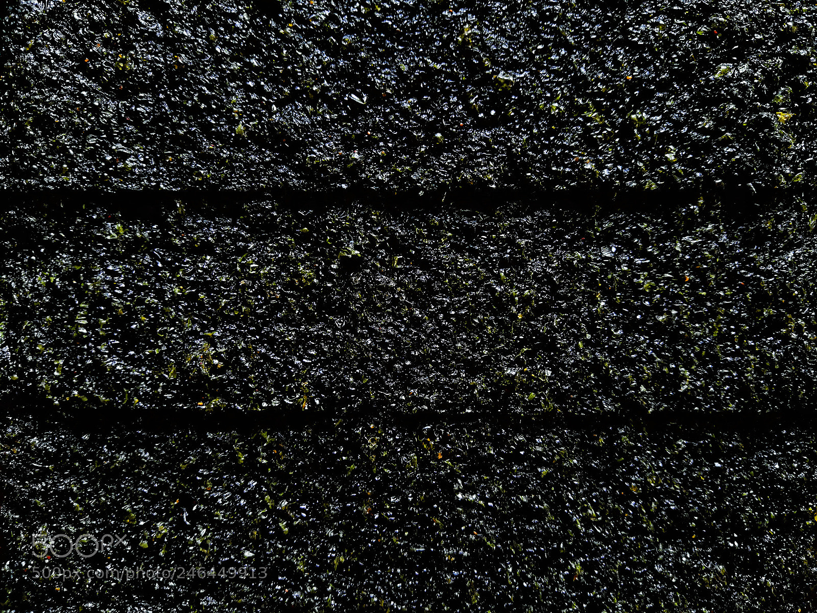 HUAWEI P10 Plus sample photo. Seaweed wall photography