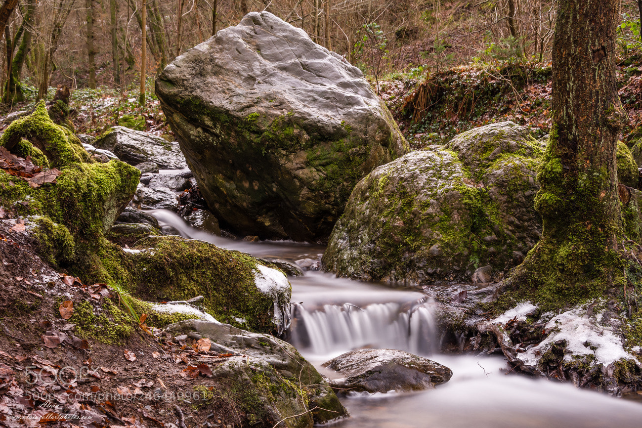 Nikon D7200 sample photo. Ruiseau hd photography