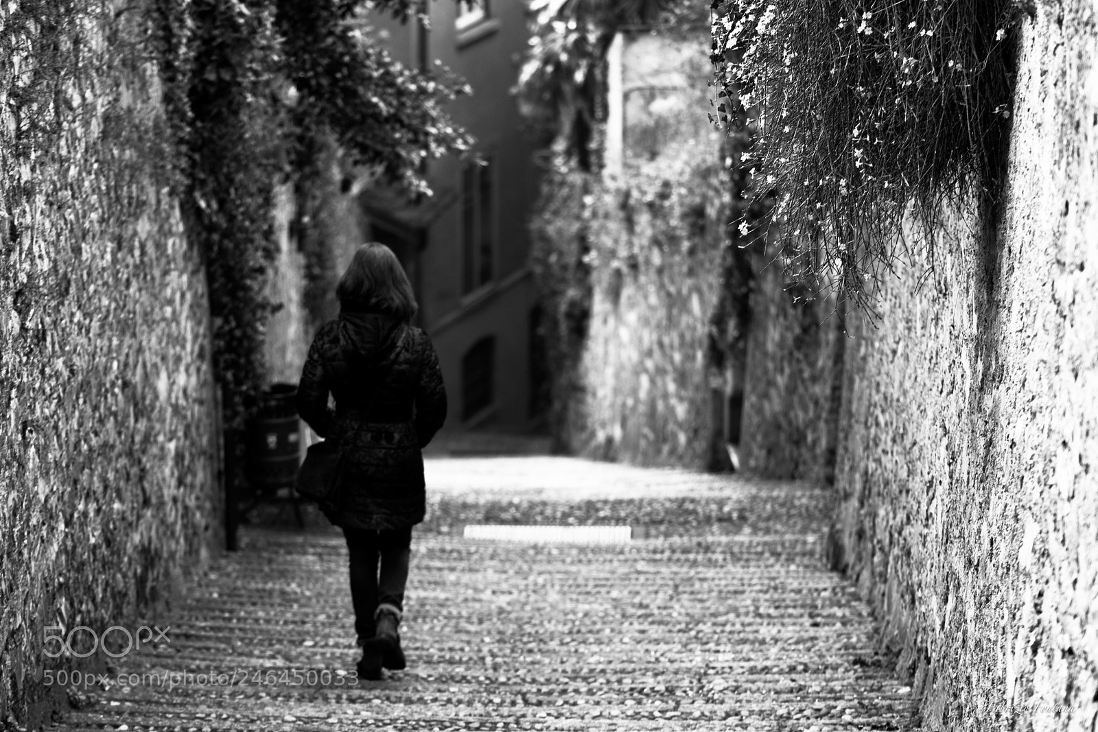 Nikon D500 sample photo. Untitled photography