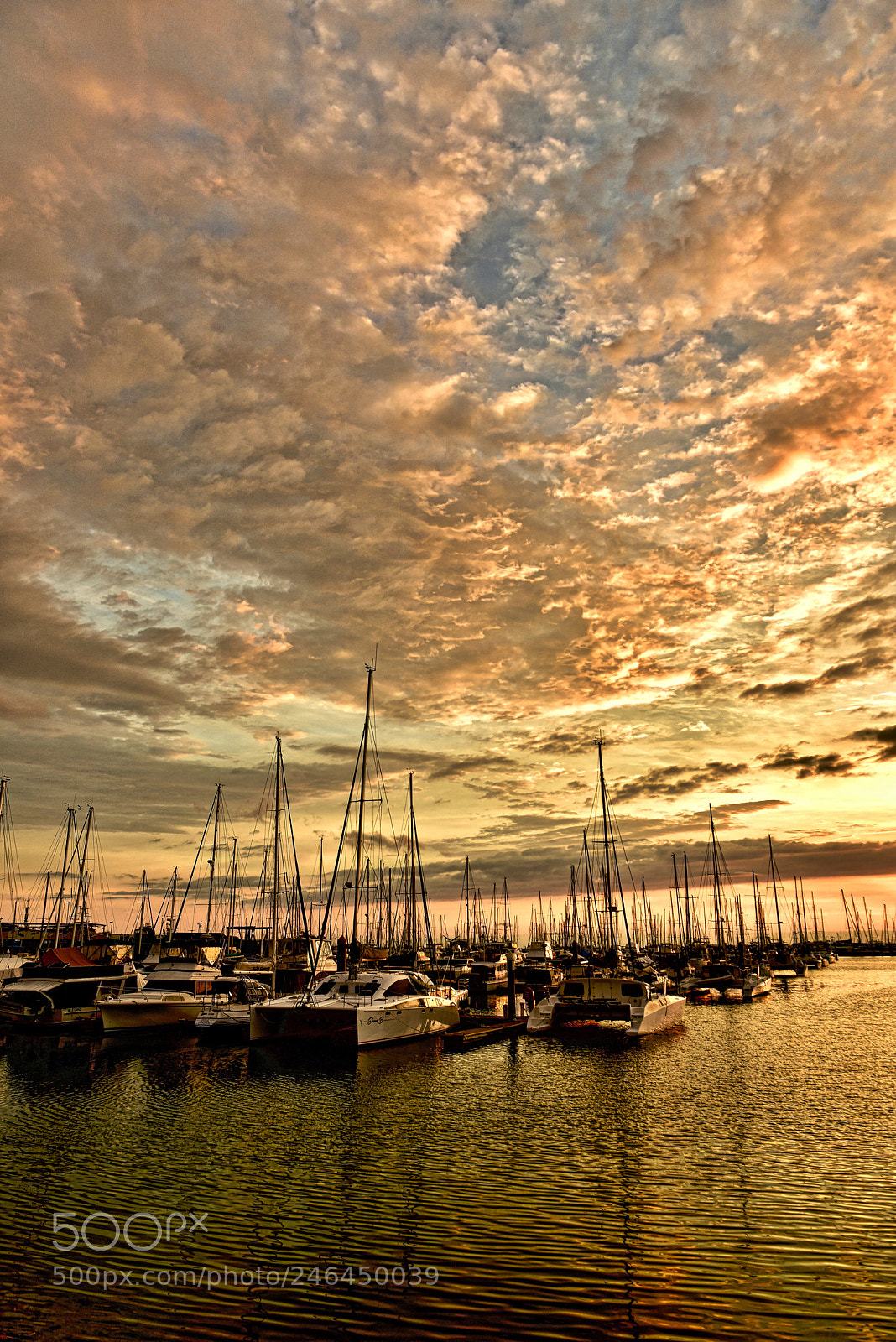 Nikon D810 sample photo. Cloud over the marina photography