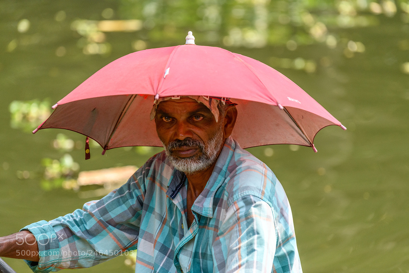Nikon D850 sample photo. In the shade photography