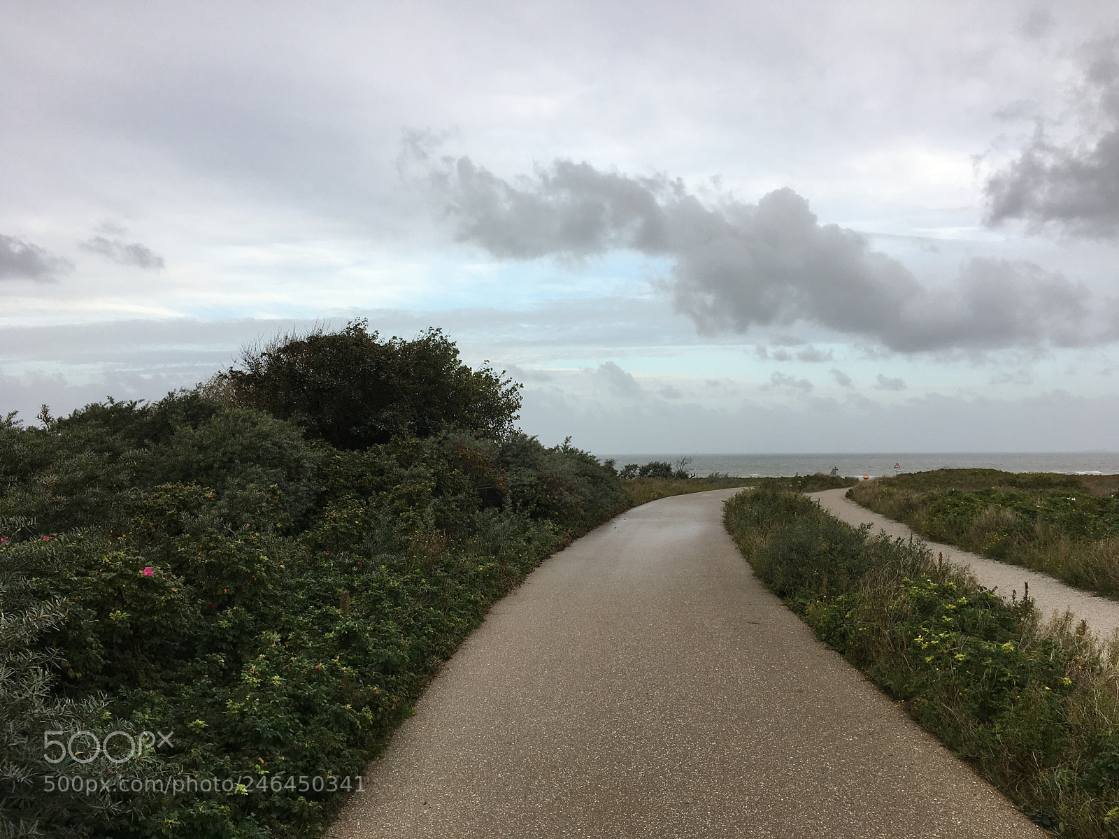Apple iPhone 6s sample photo. A day at the photography
