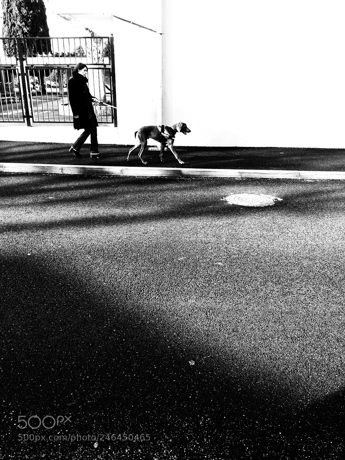 Samsung Galaxy S3 sample photo. Untitled photography