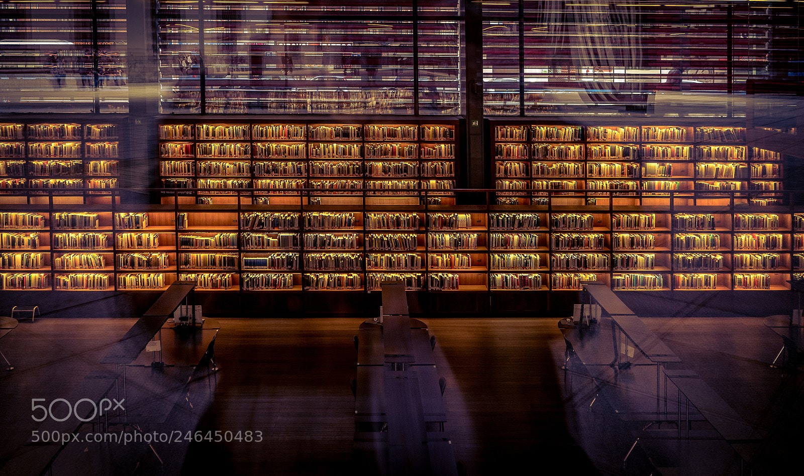 Sony a7 II sample photo. Reina sofía library photography