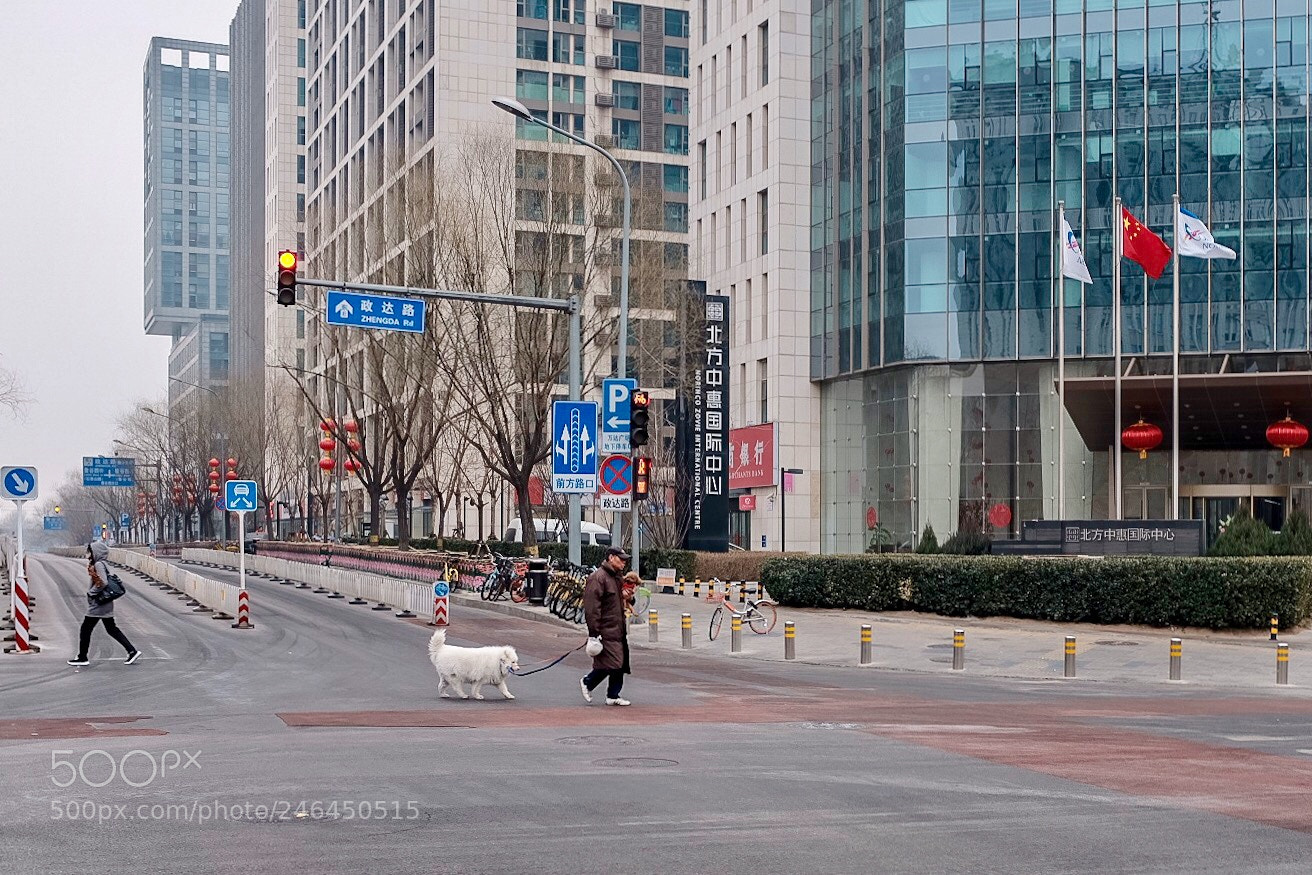 Fujifilm X100F sample photo. Untitled photography