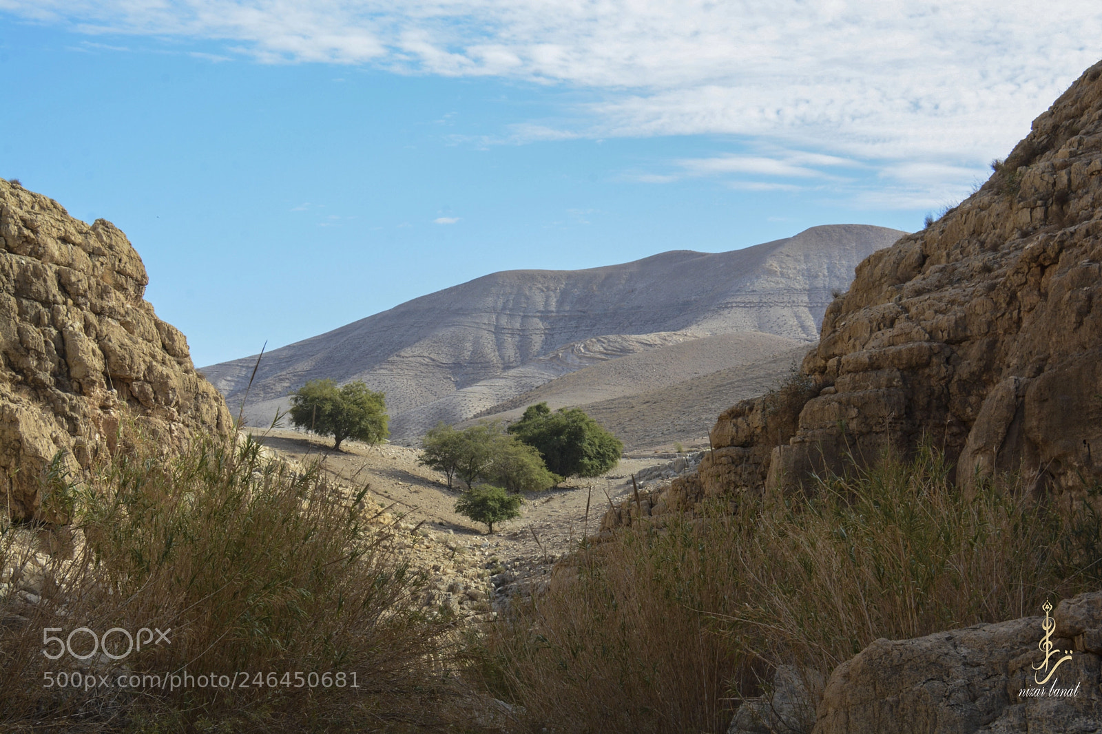 Nikon D7100 sample photo. Wad al qilt-palestine photography