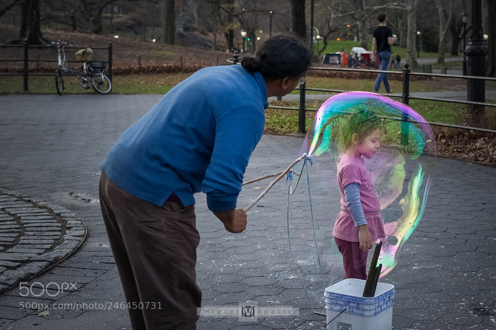 Nikon D3S sample photo. Central park photography