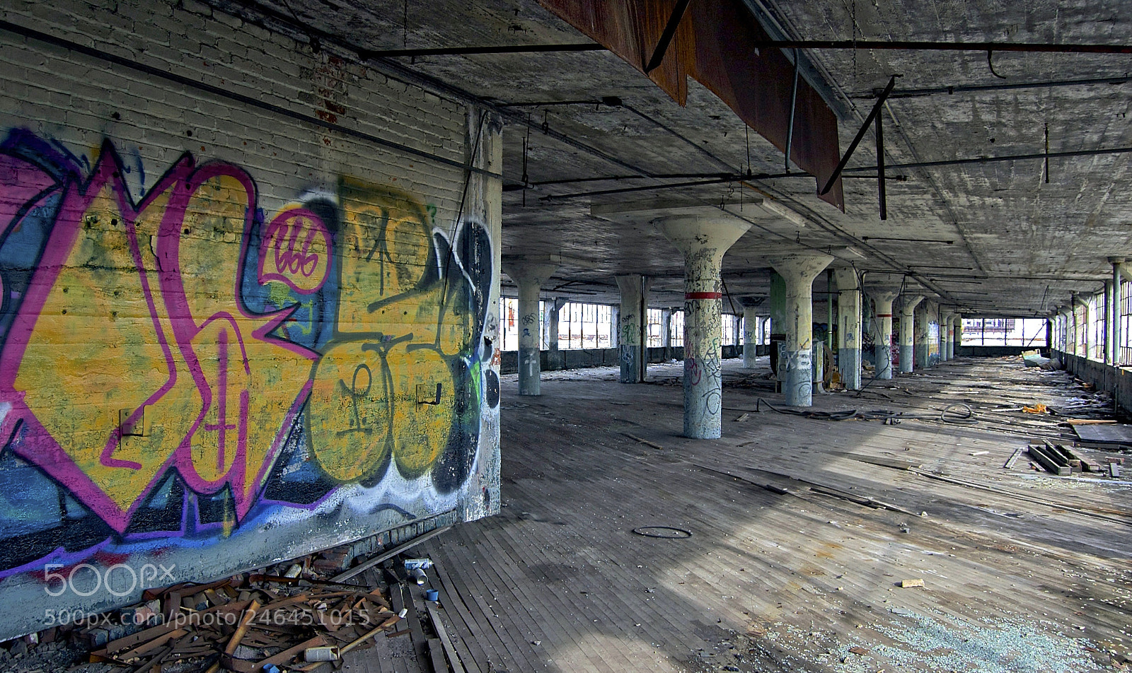 Nikon D50 sample photo. Love minus zero photography
