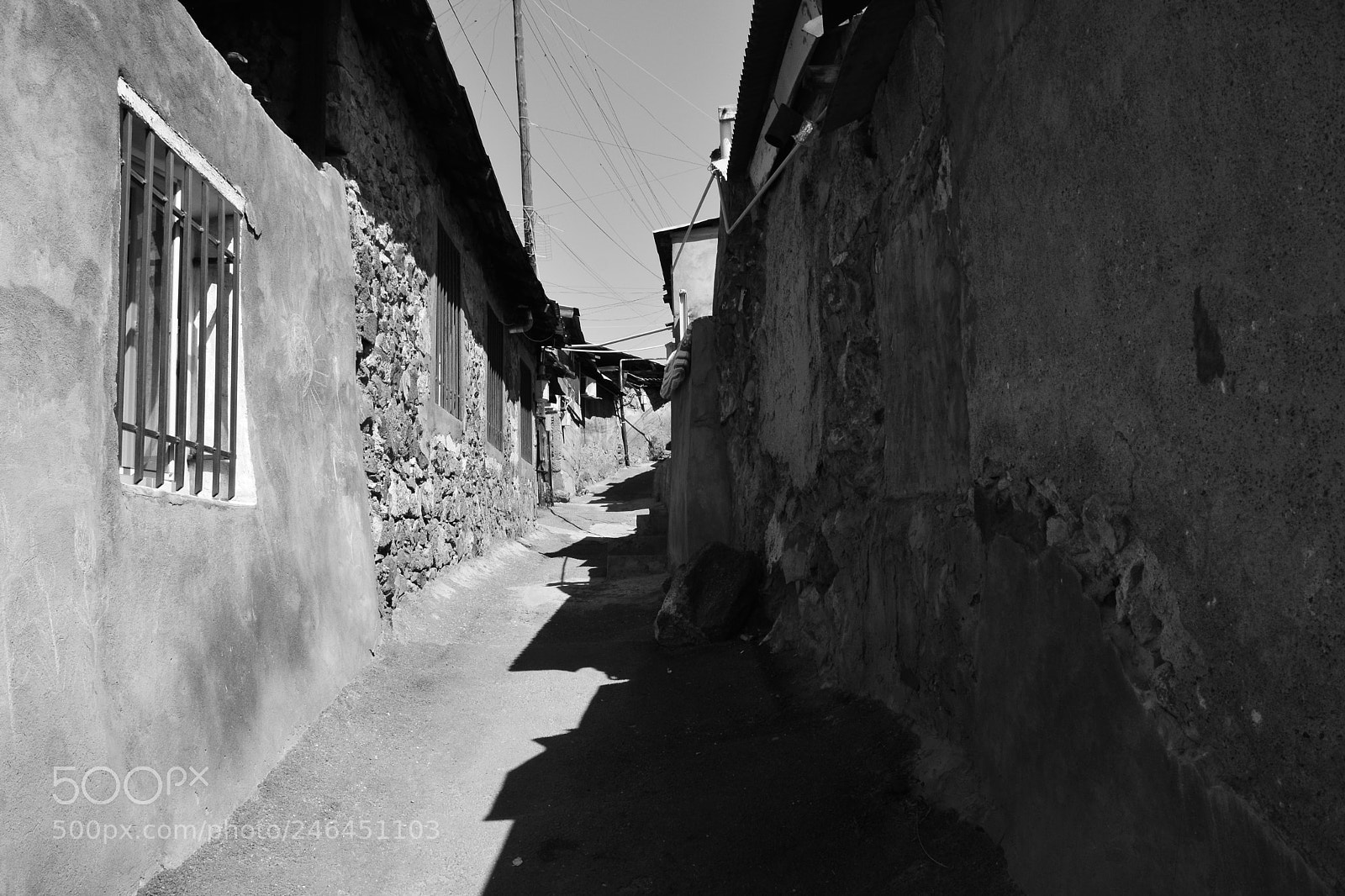 Nikon D5200 sample photo. Kond - i photography