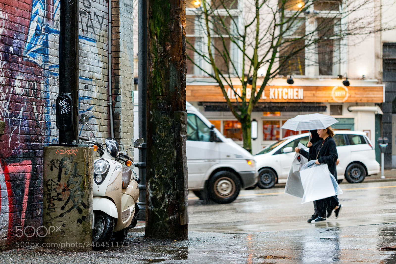 Nikon D800E sample photo. Rainy alley photography