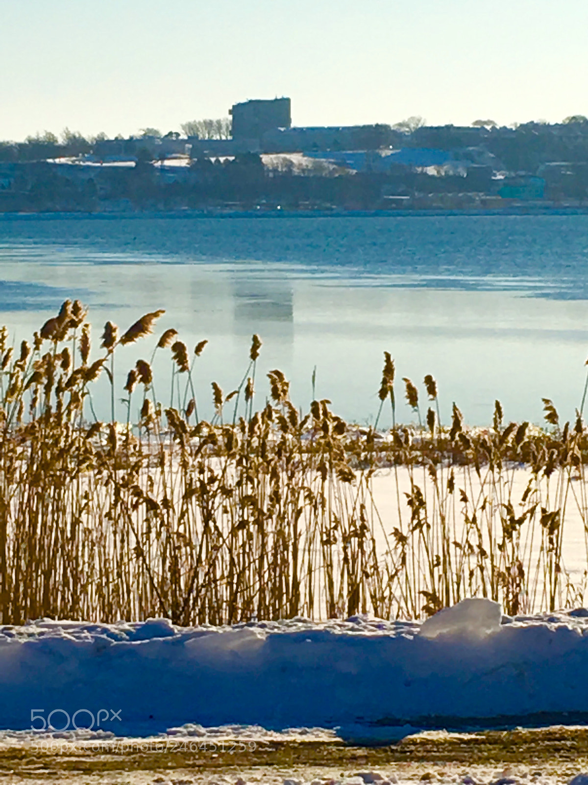 Apple iPhone 6s Plus sample photo. Winter cove ... photography