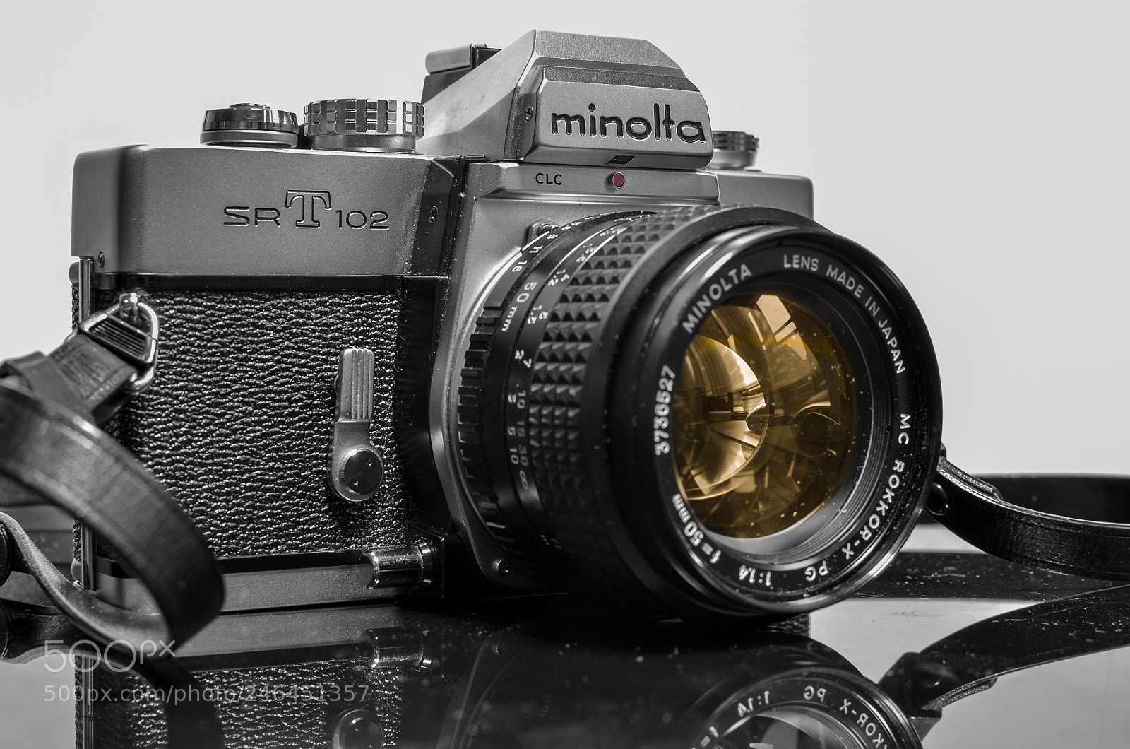 Nikon D5100 sample photo. What the camera sees photography
