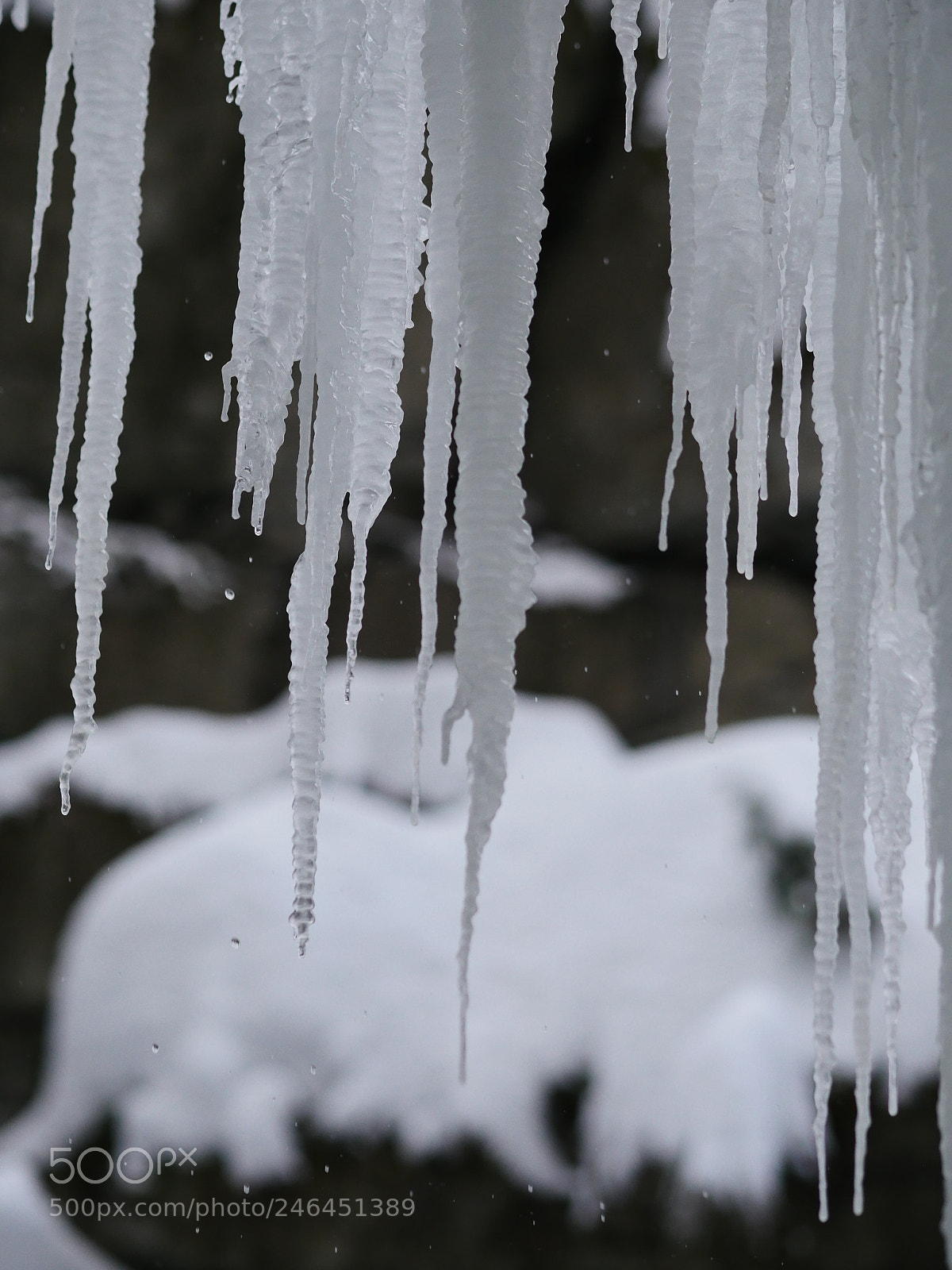 Panasonic Lumix DMC-GH4 sample photo. Icicles photography
