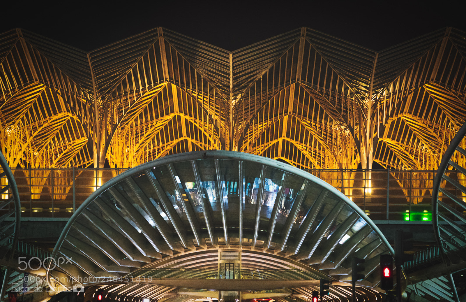 Sony a7R sample photo. Lattice ceilings photography