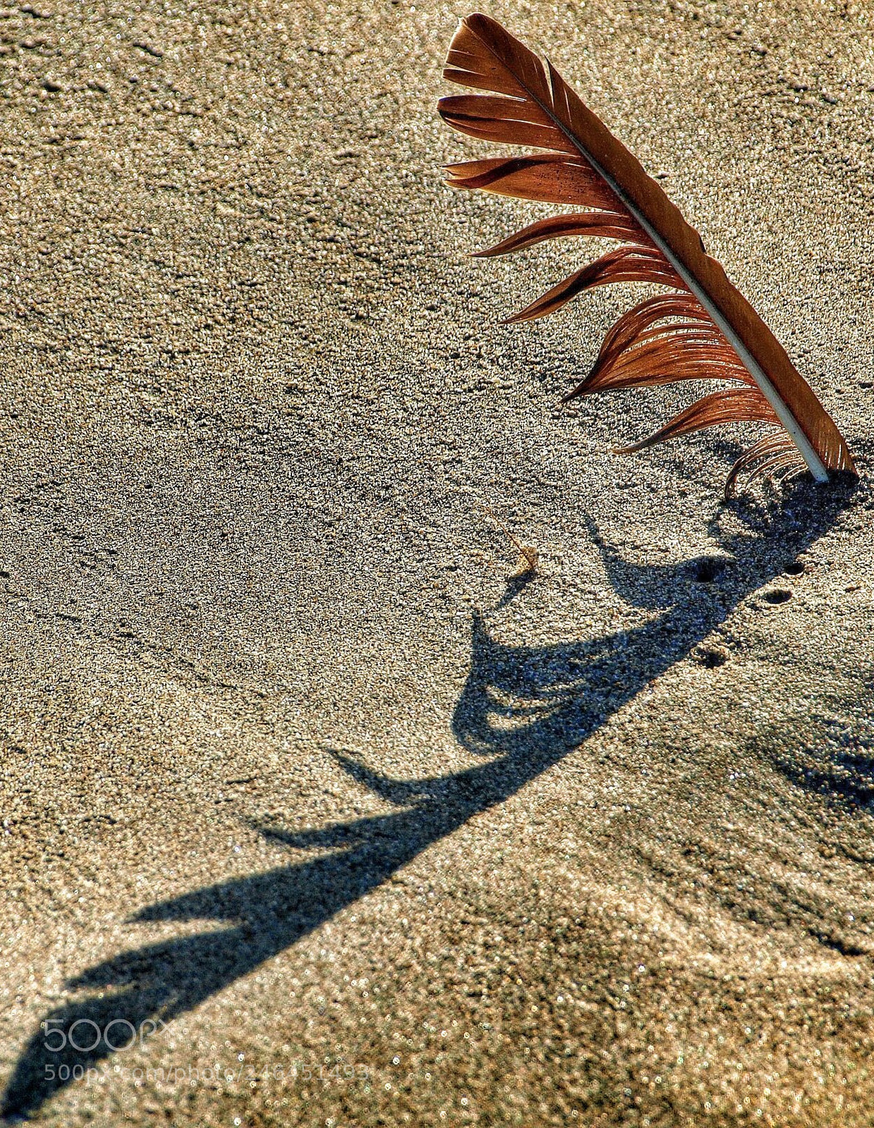 Olympus E-3 sample photo. Sundial photography