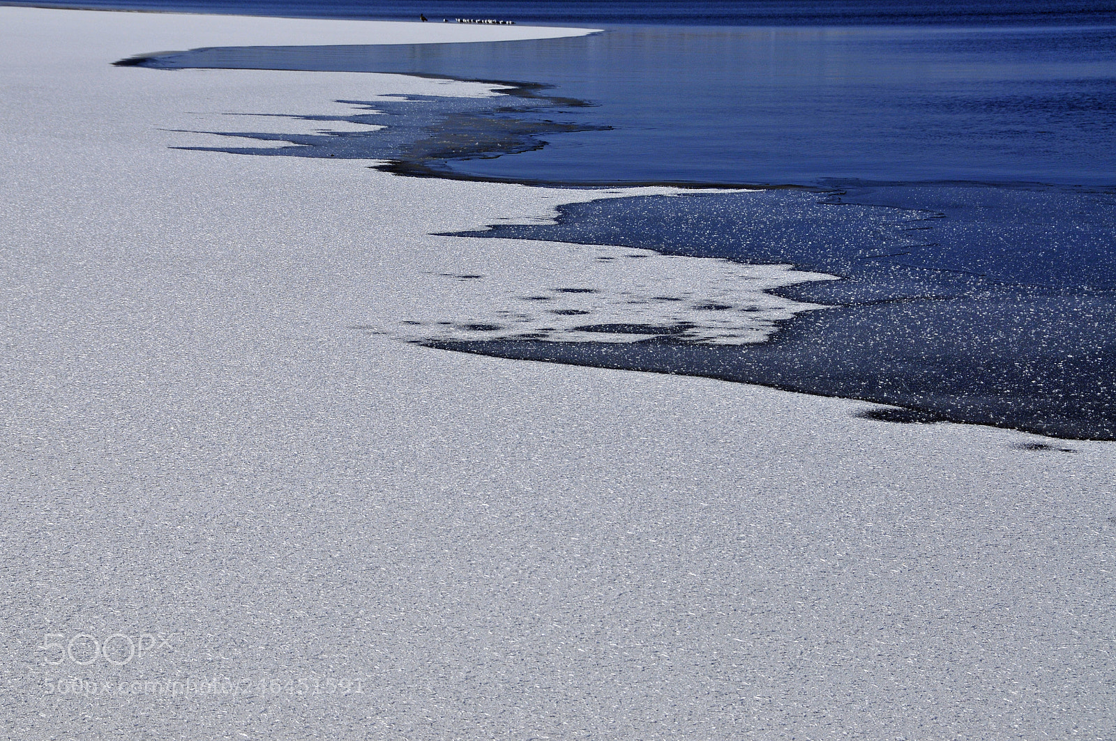 Nikon D300 sample photo. Icy edge photography