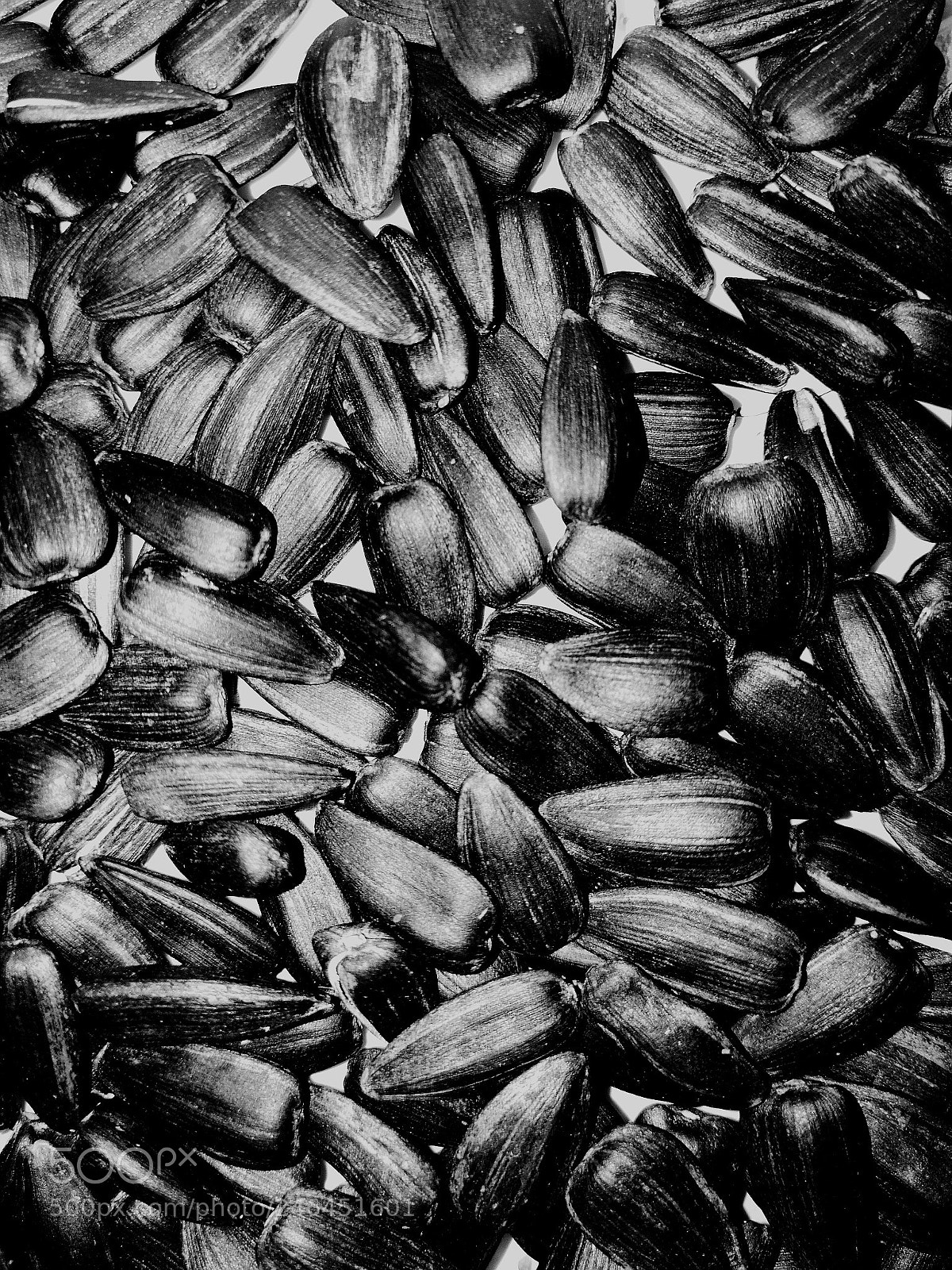 HUAWEI P10 sample photo. Sunflower seeds photography
