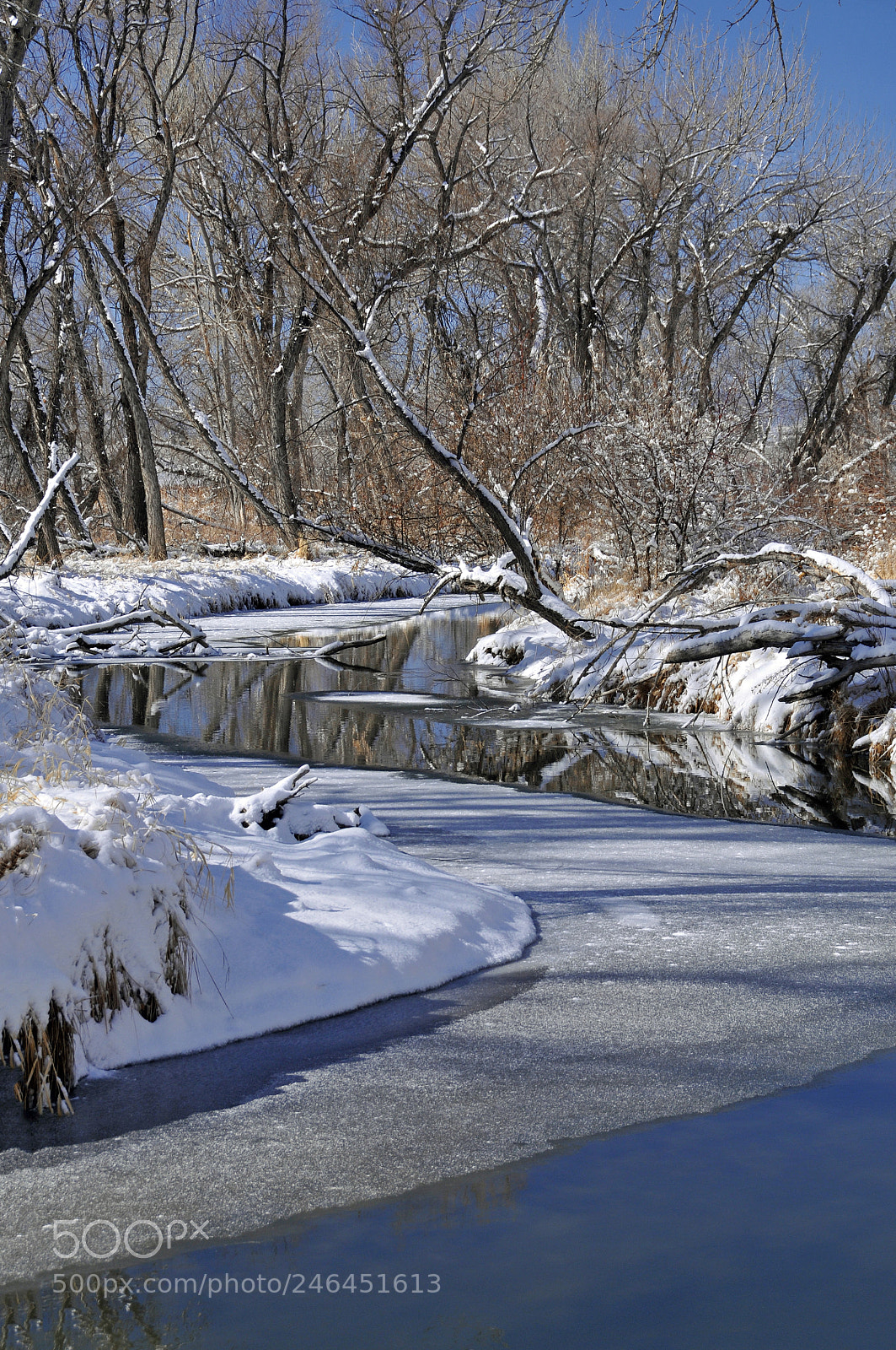 Nikon D300 sample photo. Double curve photography