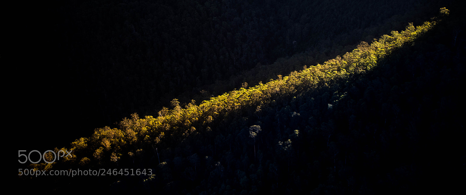 Pentax K-1 sample photo. Ridge light photography