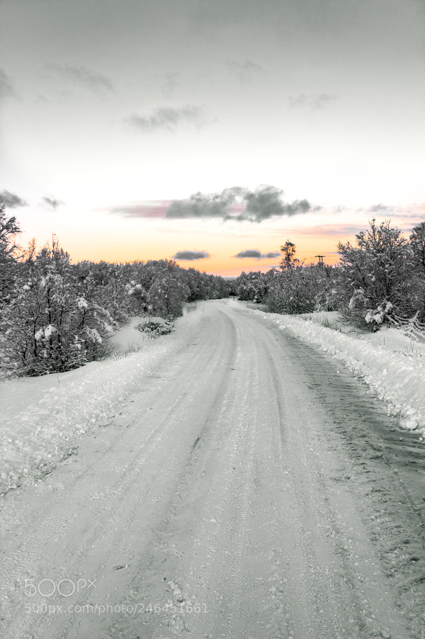Canon EOS 600D (Rebel EOS T3i / EOS Kiss X5) sample photo. Norway road photography