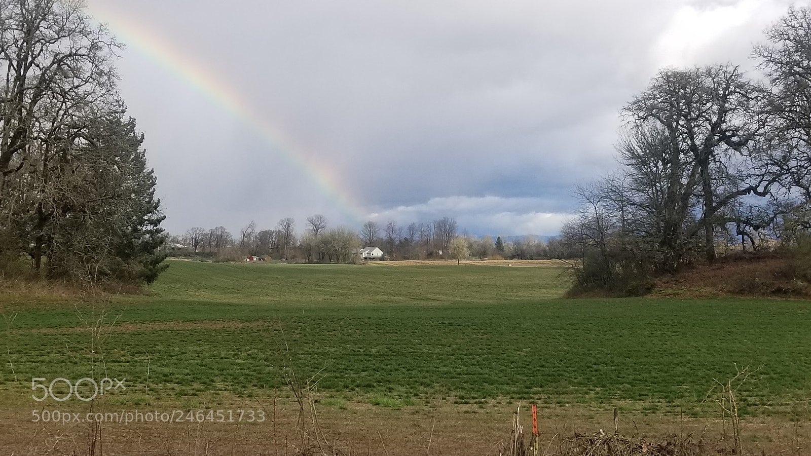 Samsung Galaxy S8 sample photo. Untitled photography