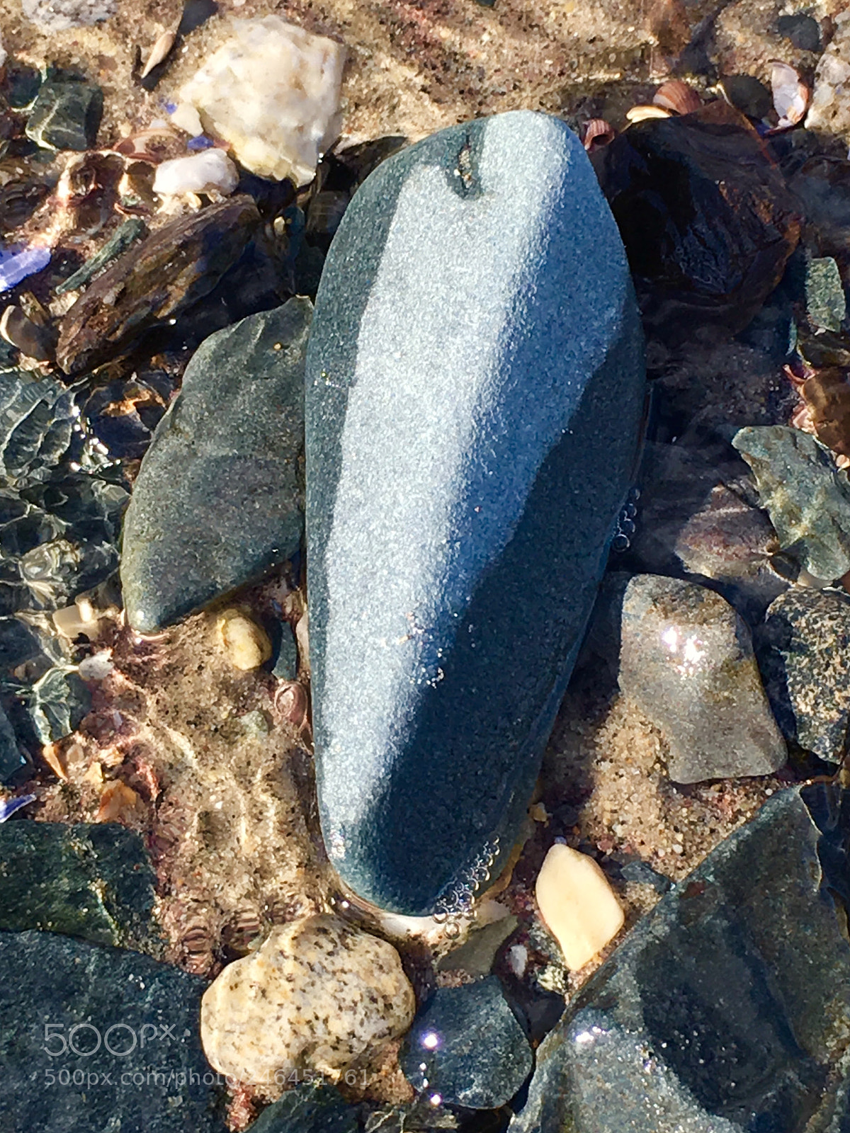 Apple iPhone 6s Plus sample photo. Tide pool love... photography