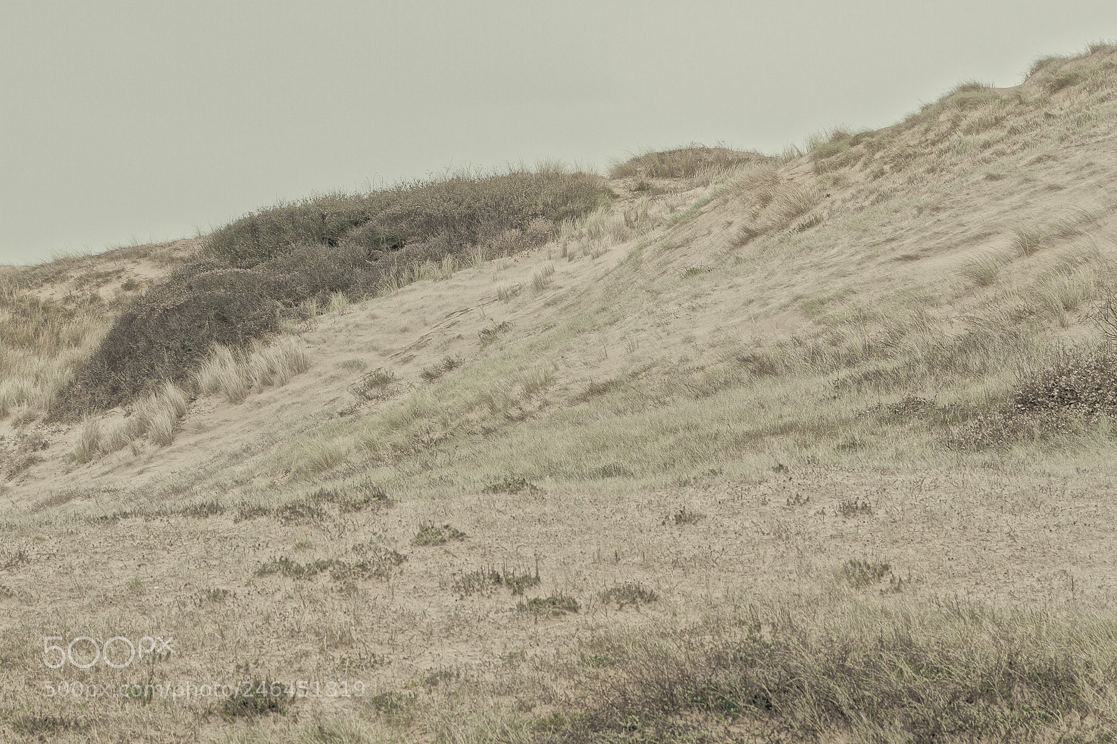 Canon EOS 7D sample photo. Dunes photography