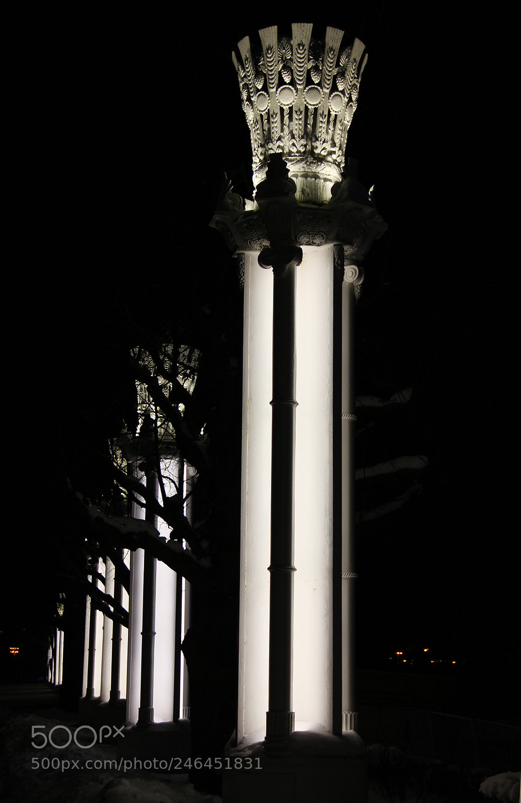 Canon EOS 600D (Rebel EOS T3i / EOS Kiss X5) sample photo. Img photography