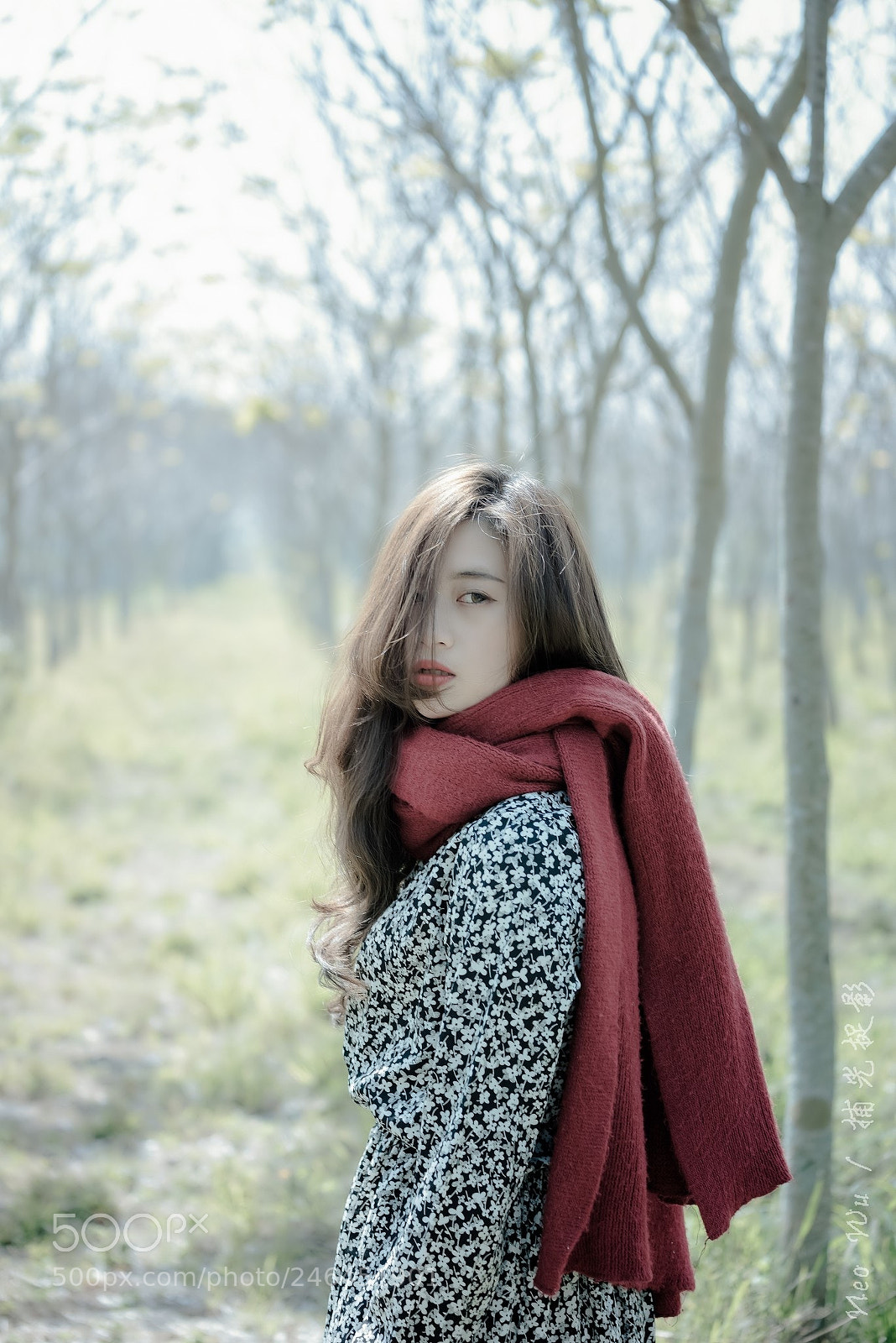 Nikon D810 sample photo. Untitled photography