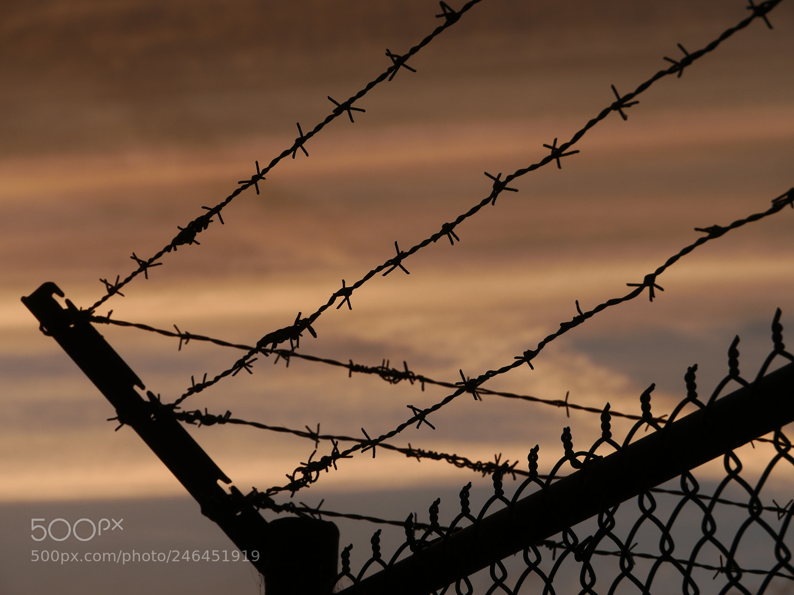 Panasonic Lumix DMC-GH4 sample photo. Barbed wire fence against photography