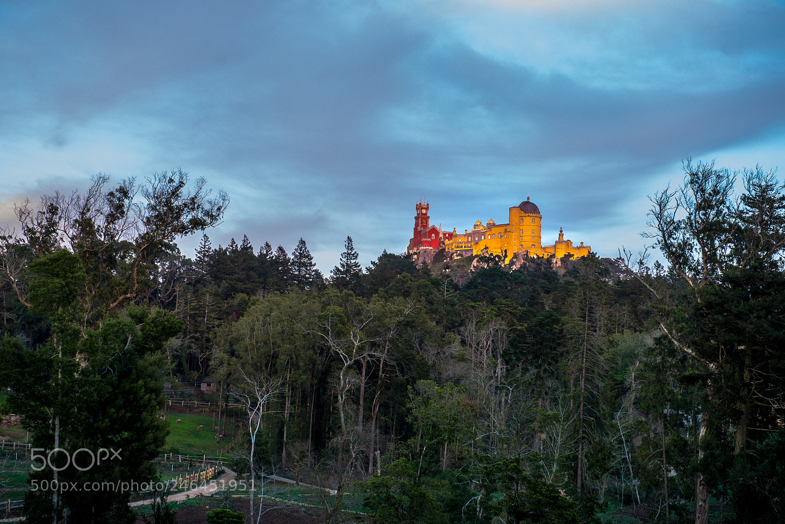 Nikon D610 sample photo. Palácio da pena... photography