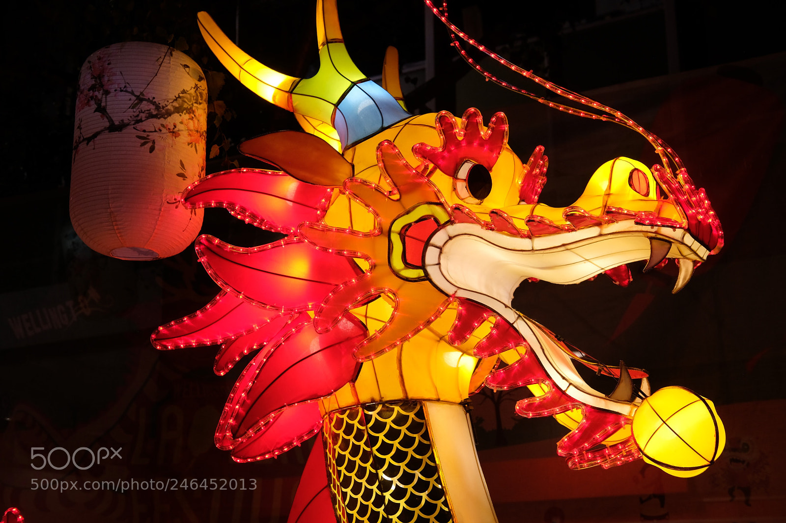 Fujifilm X-T2 sample photo. Dragon and lantern photography