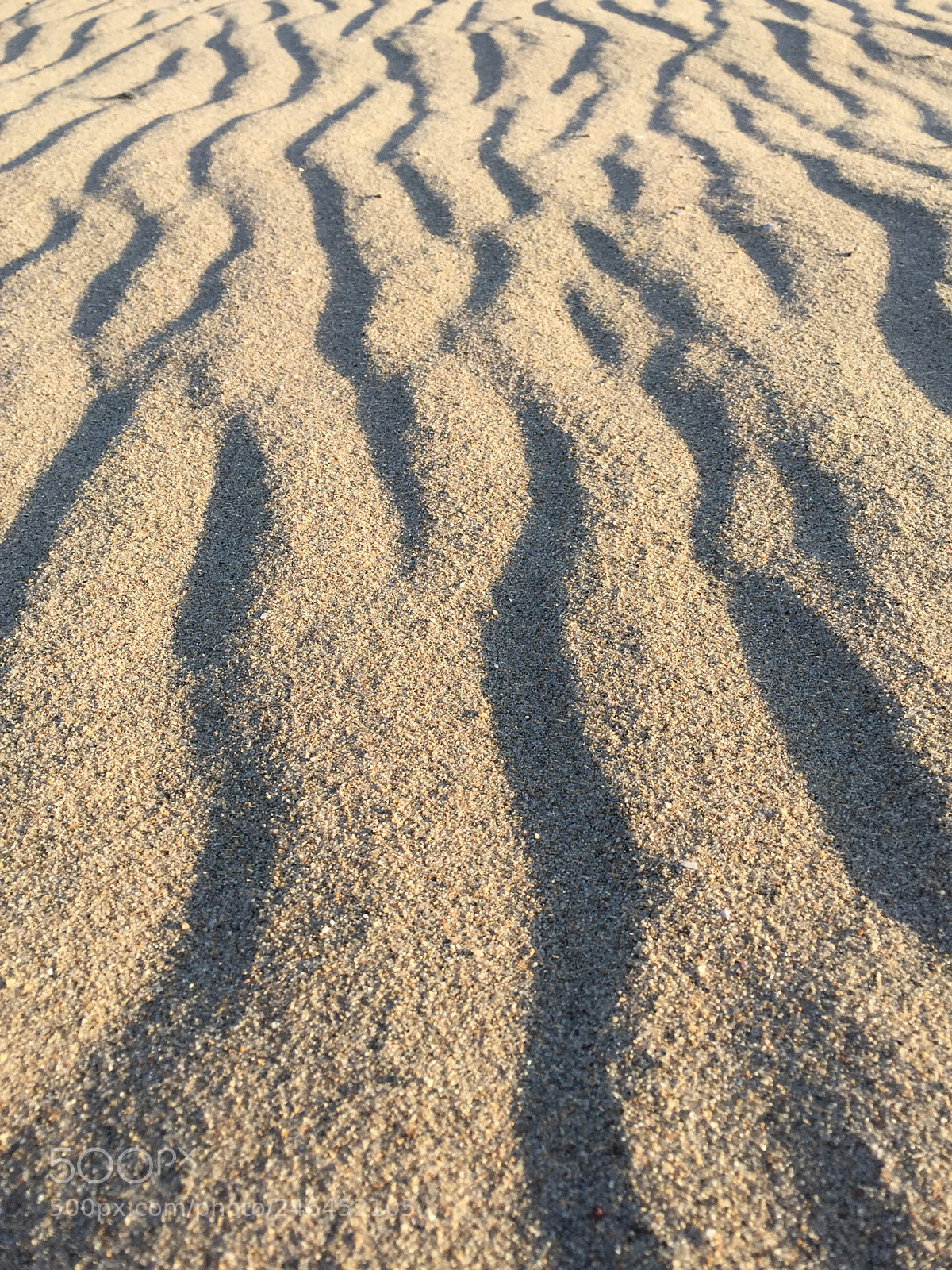 Apple iPhone 6 Plus sample photo. Sand photography