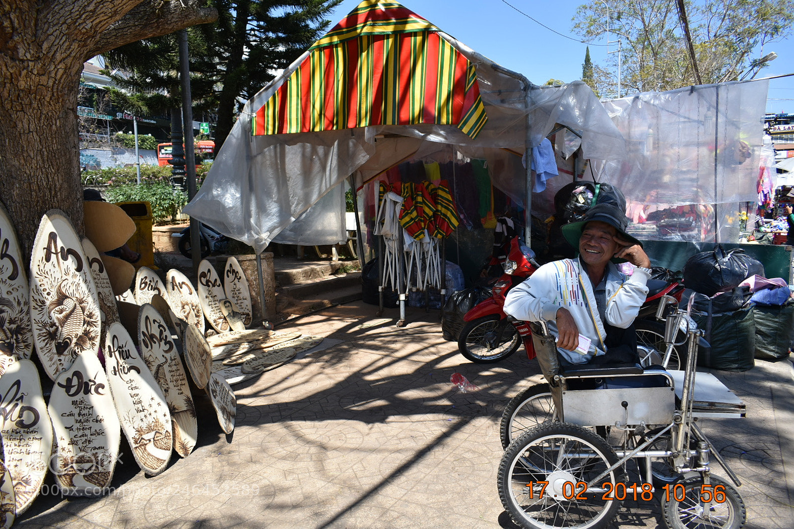 Nikon D5600 sample photo. Dsc photography