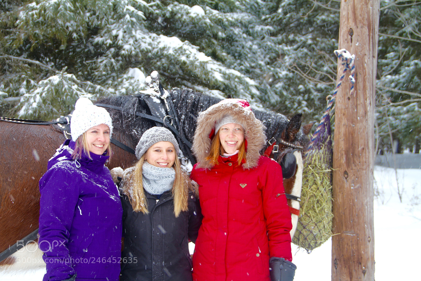 Canon EOS 7D sample photo. Img photography