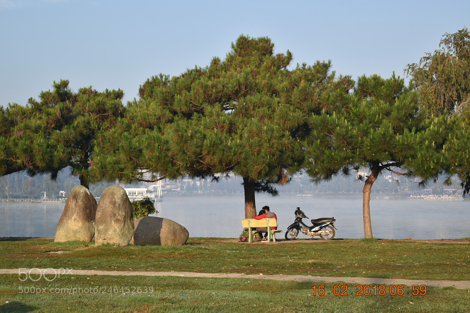 Nikon D5600 sample photo. Dsc photography