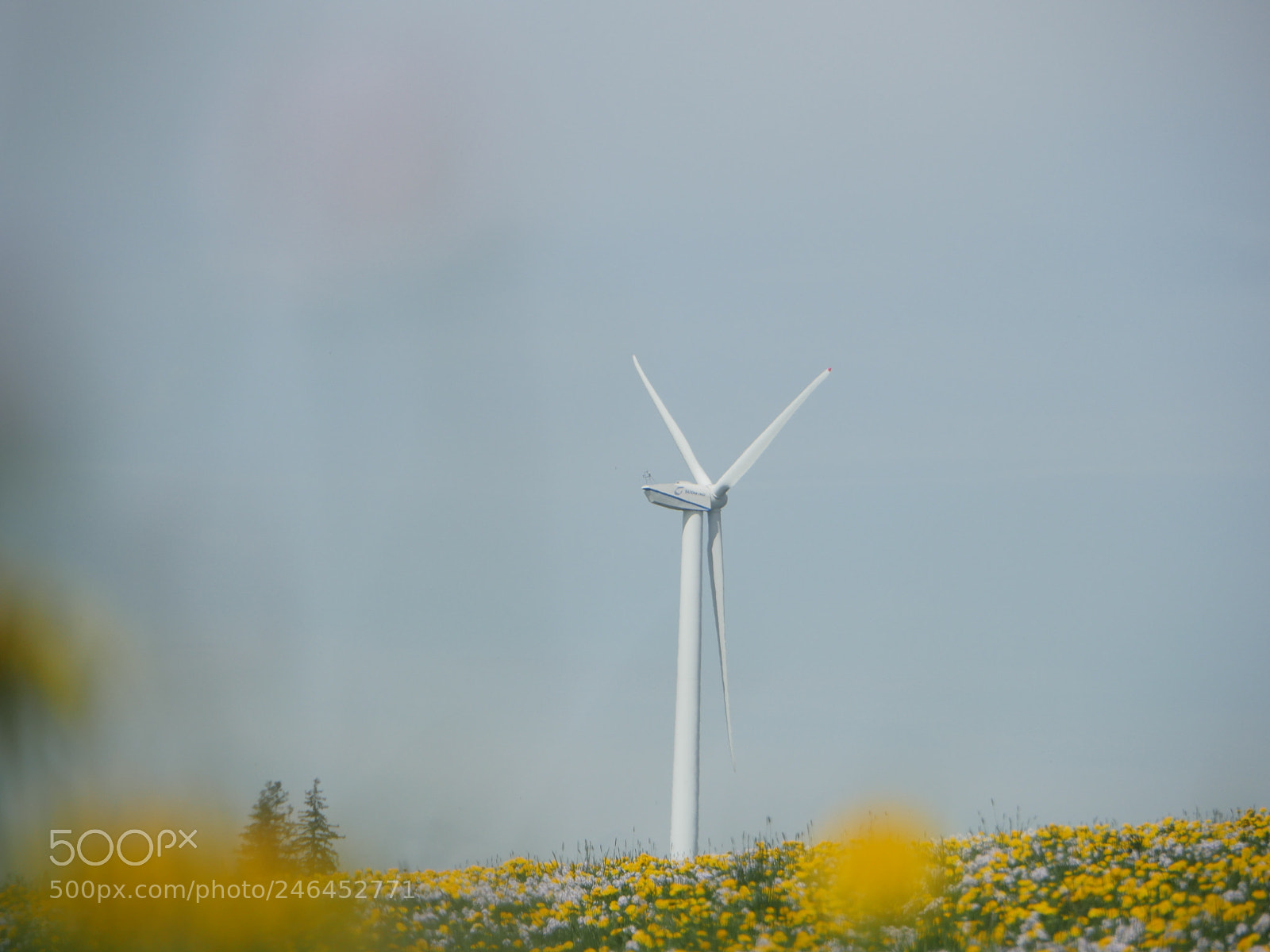 Panasonic Lumix DMC-GH4 sample photo. Meadow with wind power photography