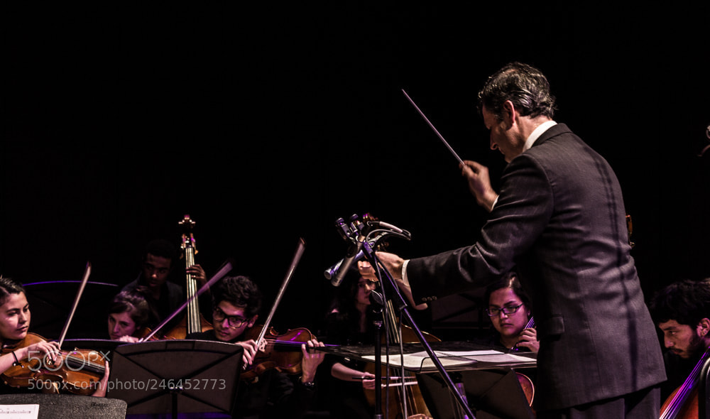 Canon EOS 600D (Rebel EOS T3i / EOS Kiss X5) sample photo. Conducting the orchestra photography