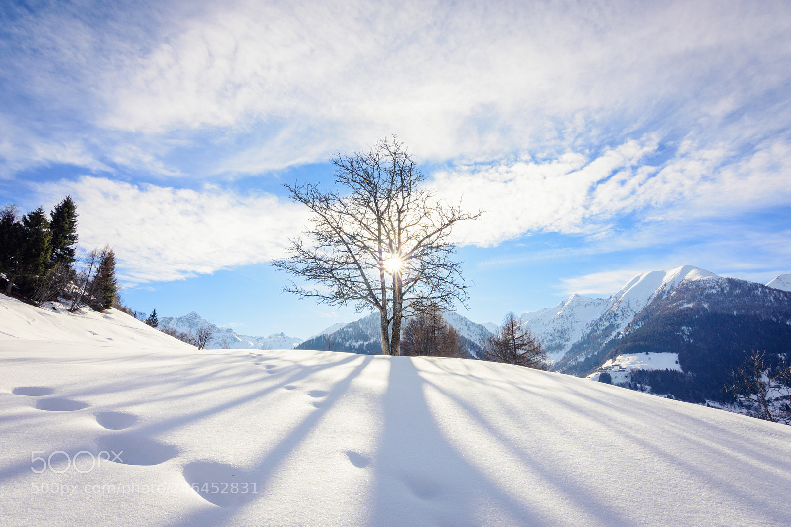 Nikon D7200 sample photo. The tree of light photography