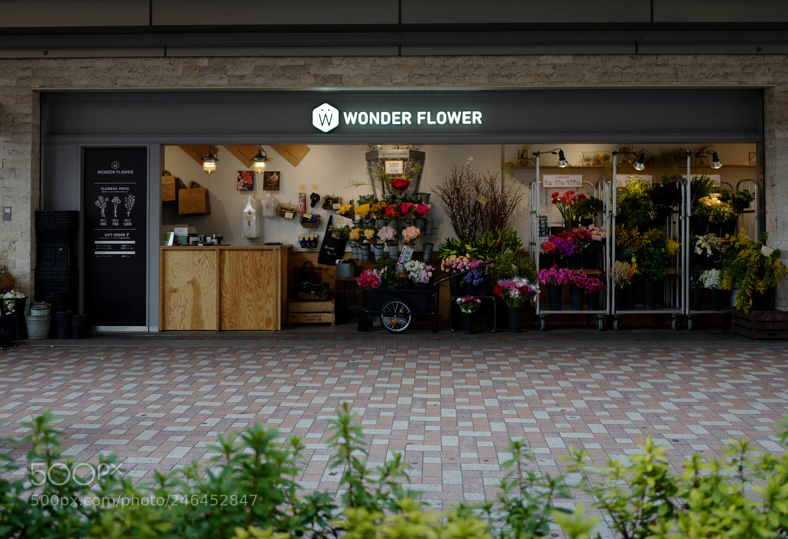 Leica Q (Typ 116) sample photo. 恵比寿 photography