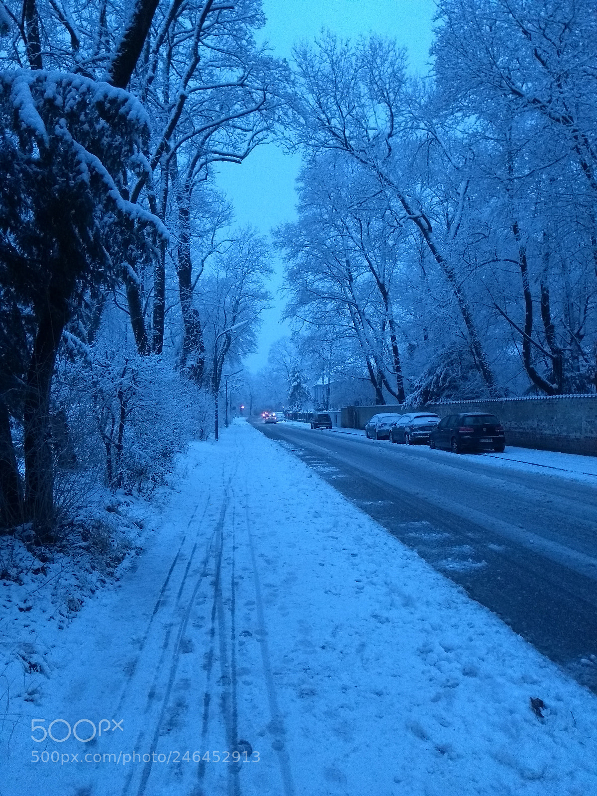 Motorola Moto G (5S) sample photo. Winter wonderland! photography