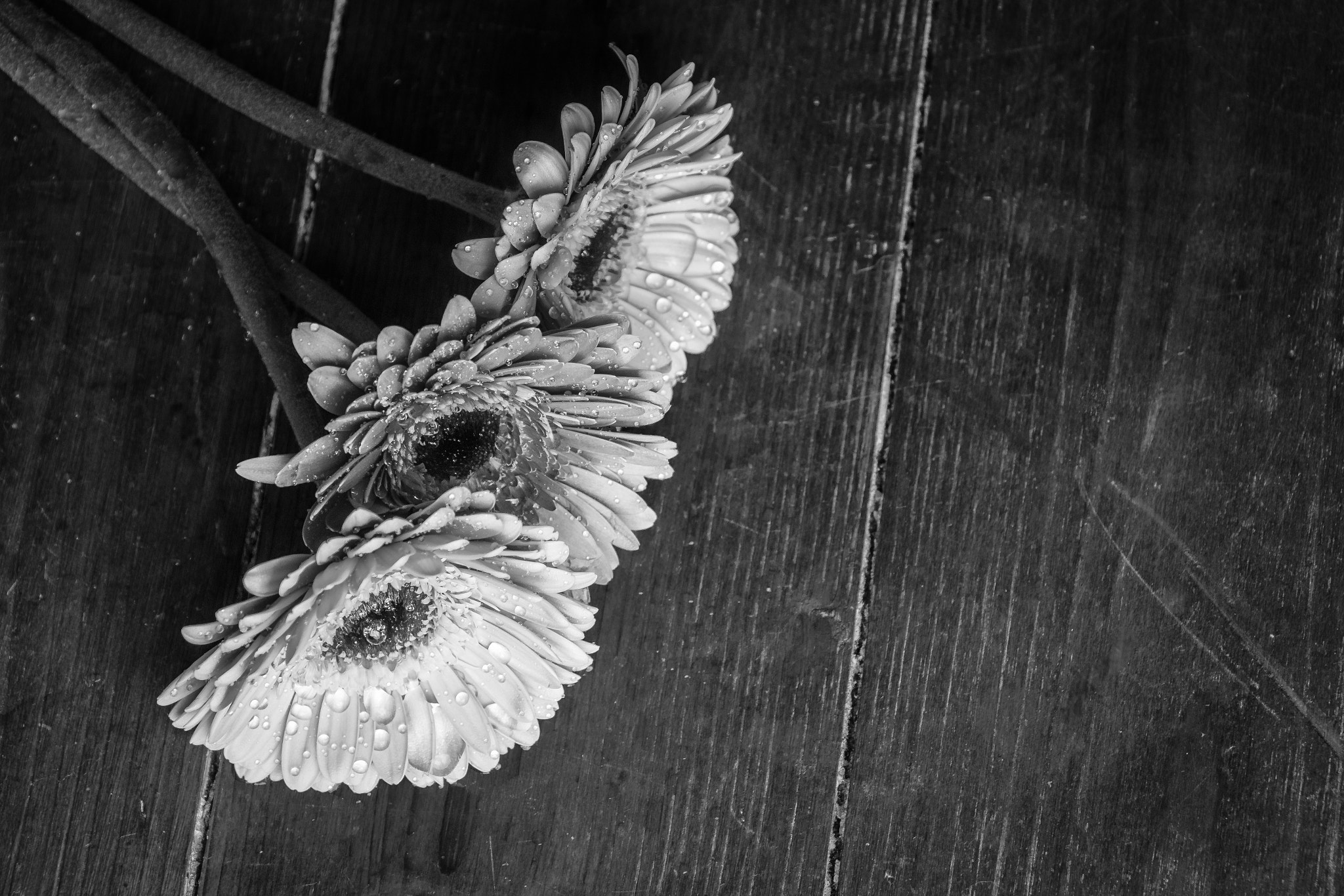 Forgivness is always a path. A hard one. But it's a path full of flowers.