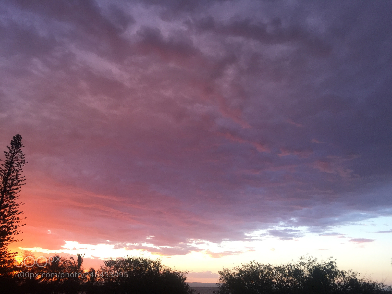 Apple iPhone 6 sample photo. Sailors delight :) photography