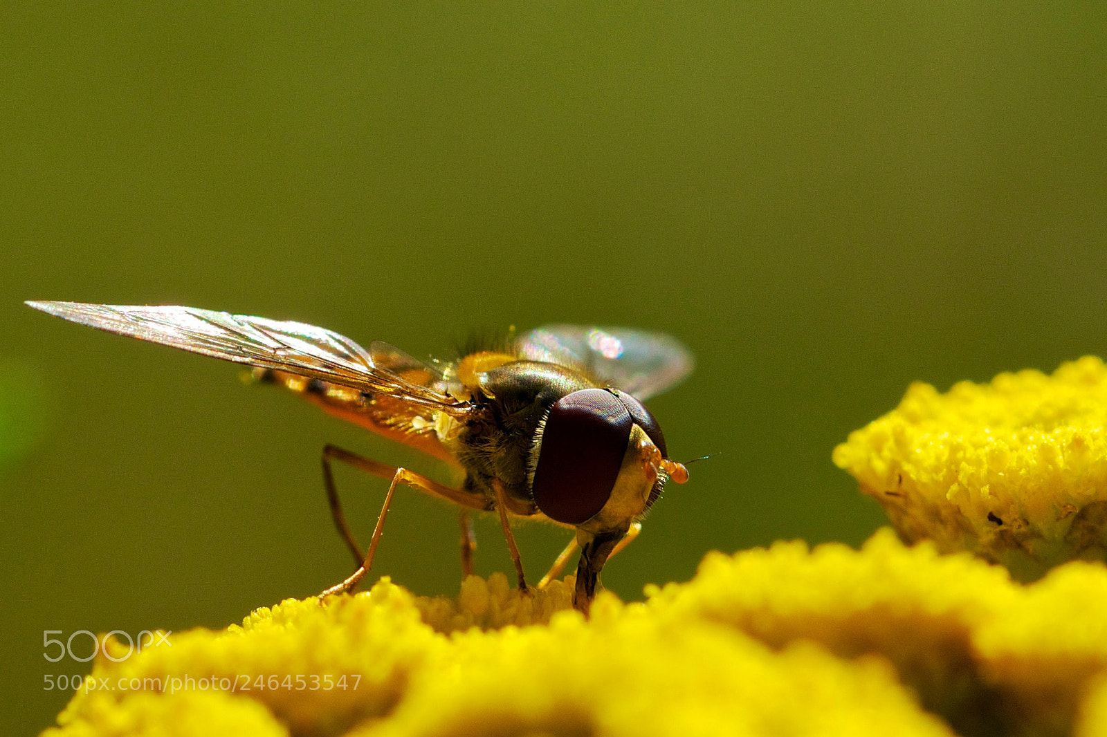 Nikon D5100 sample photo. Bereit zum start photography